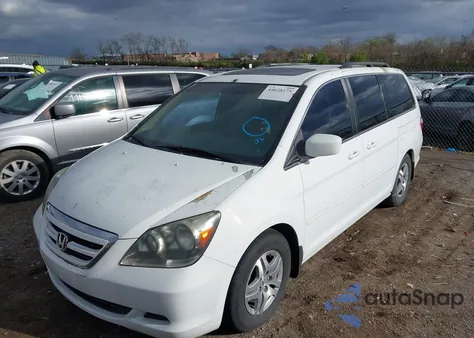 2005 Honda Odyssey Ex-L from USA, damaged, VIN 5FNRL38675B126535